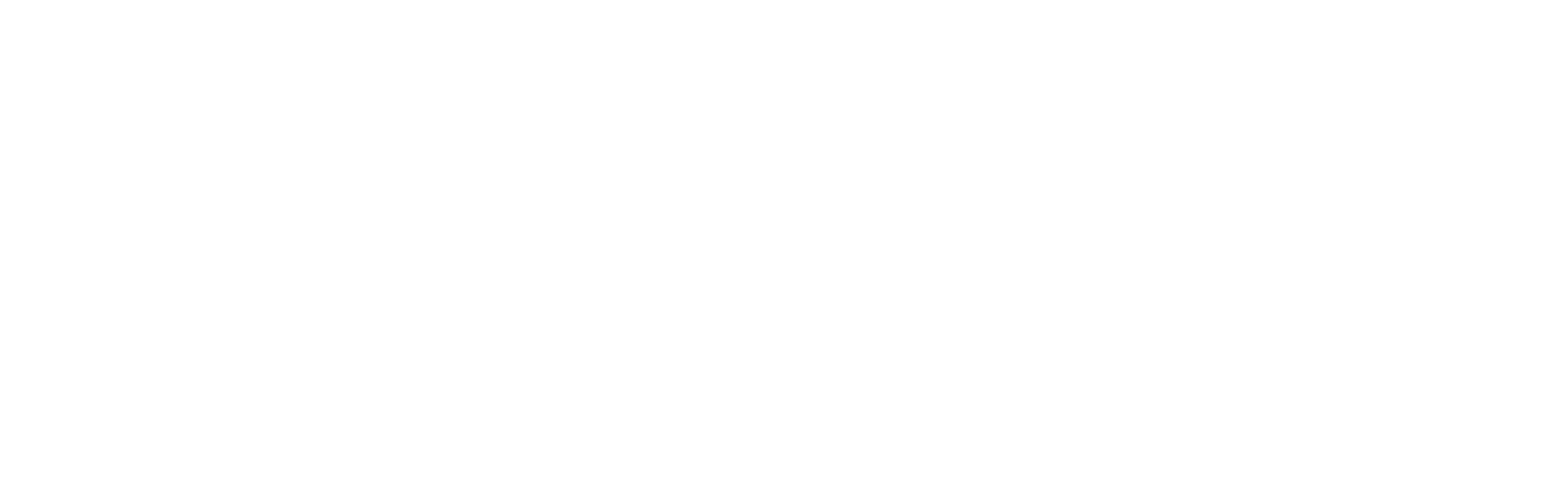 Gelsight_Identity-Lockup-White-1